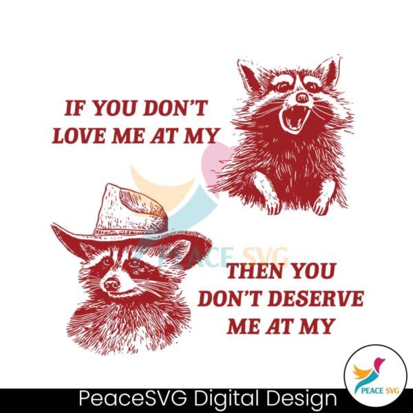 If You Don T Love Me At My Funny Raccoon Svg Layered File
